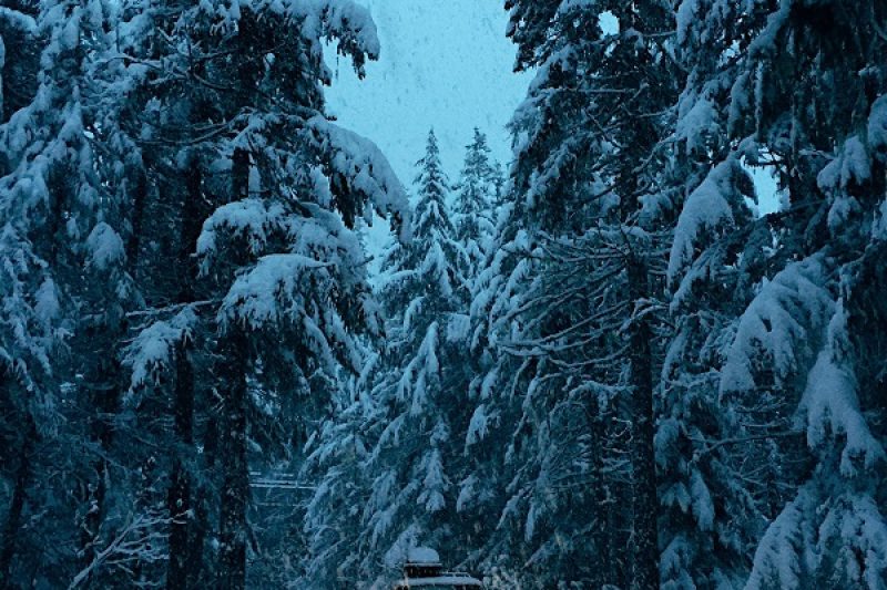 Handling Holiday Stress
